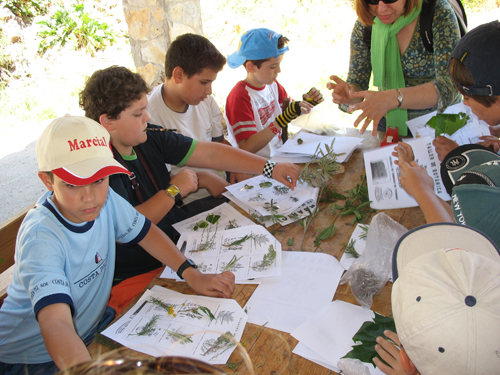 ACTIVITATS COSMOF&Iacute;SICA-HERBARIO